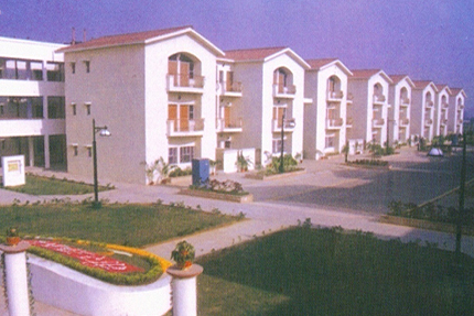 pic3